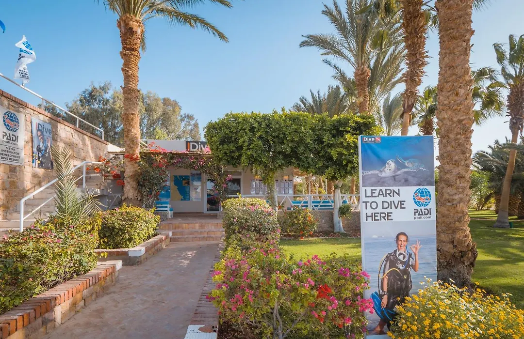 Fort Arabesque Resort, Spa & Villas-1