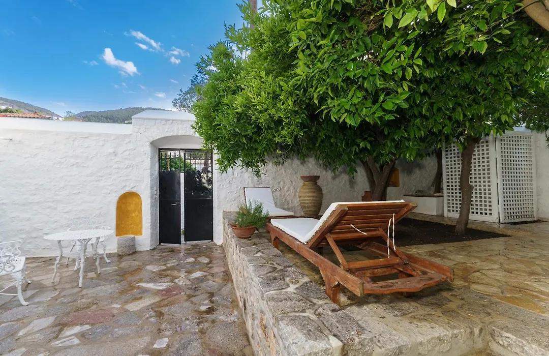 Livin Hydra Garden Suite-1