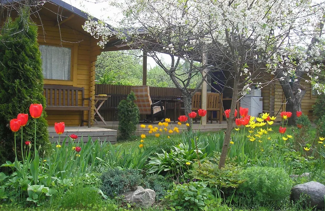 Kaare Guesthouse-1