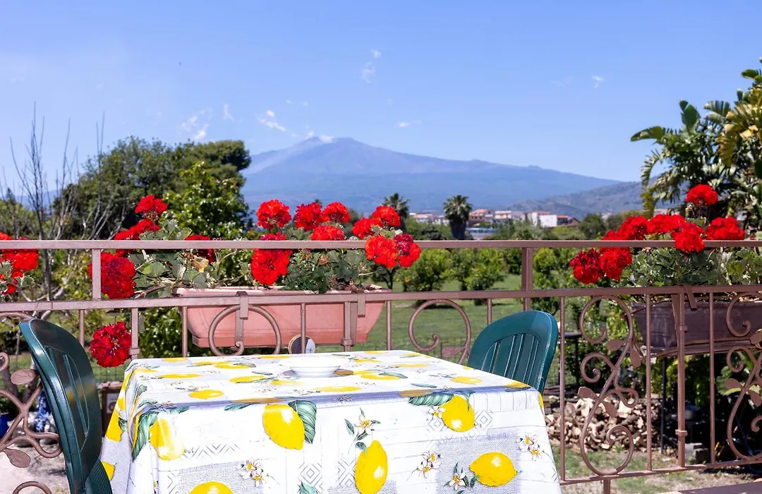 Villa Iris-1