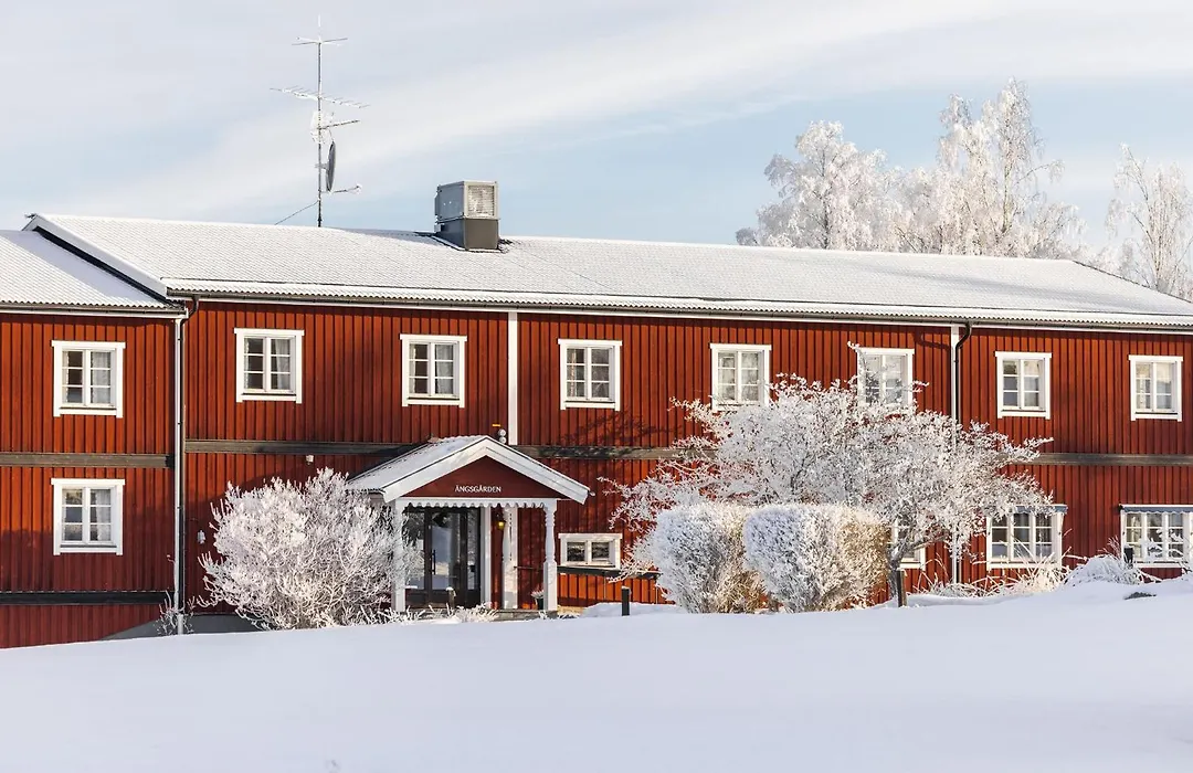 Hotell Villa Långbers-1