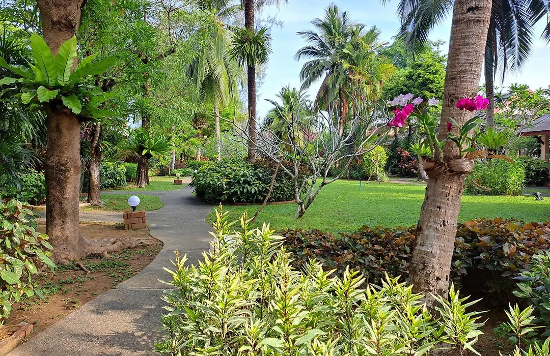 Jasmin Resort - Sha Plus-1