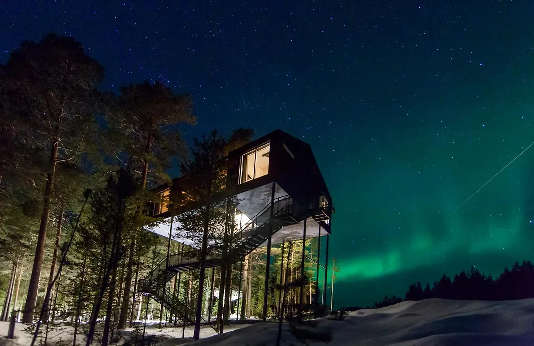 Treehotel-1
