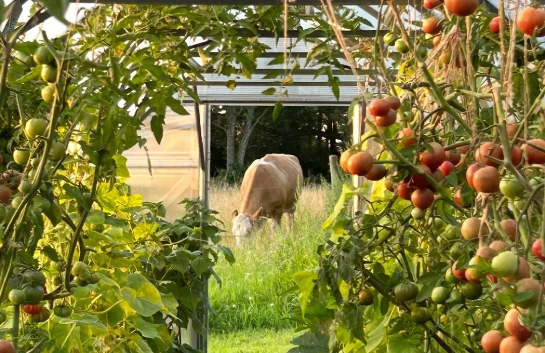 Ekenäs Gård på Österlen-1