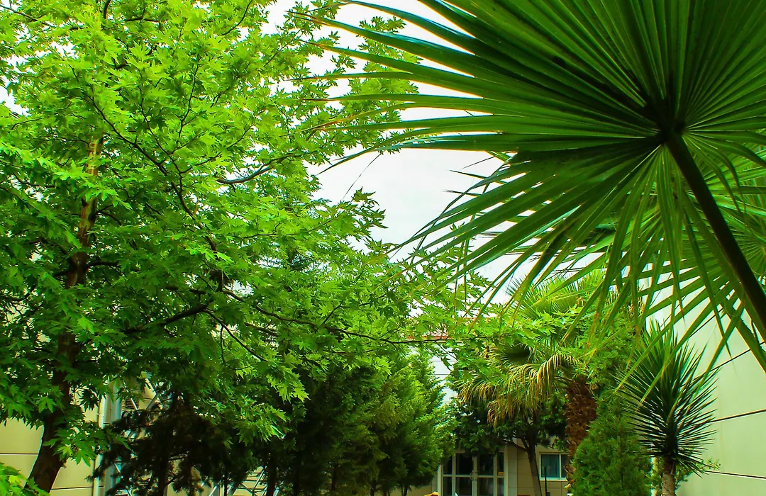The Crescent Beach Hotel-1