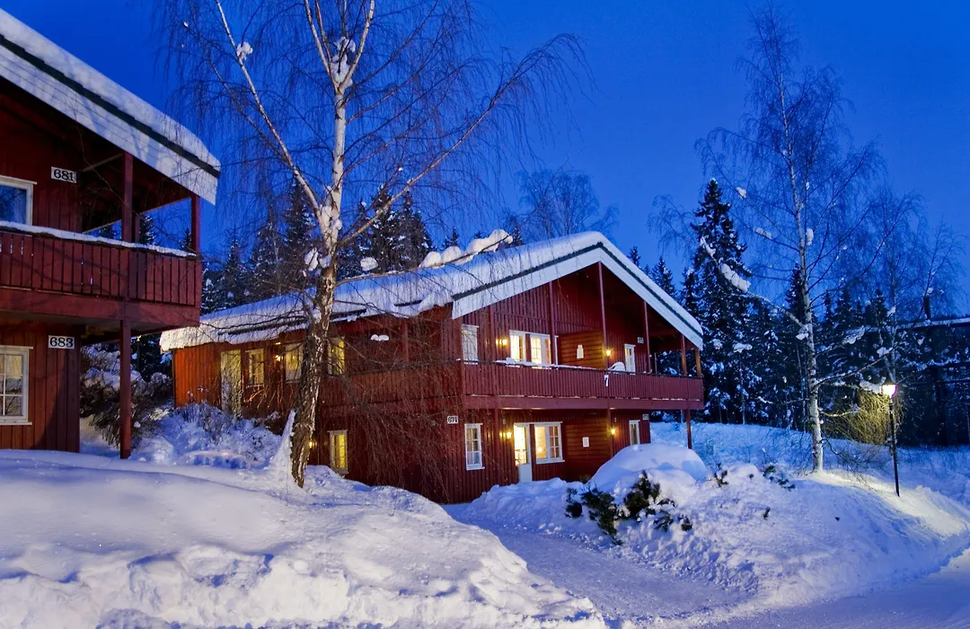 Birkebeineren Hotel & Apartments-1