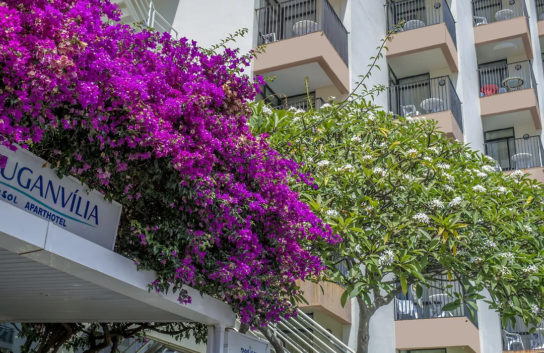 Dorisol Buganvilia Studio Hotel-1