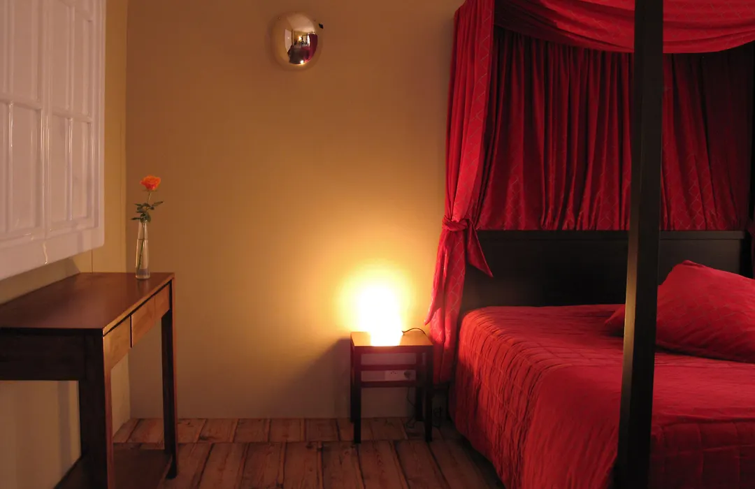 Le Windsor, Jungle Art Hotel-1