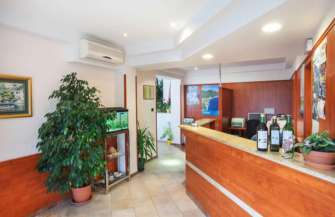 Villa Vinka-1