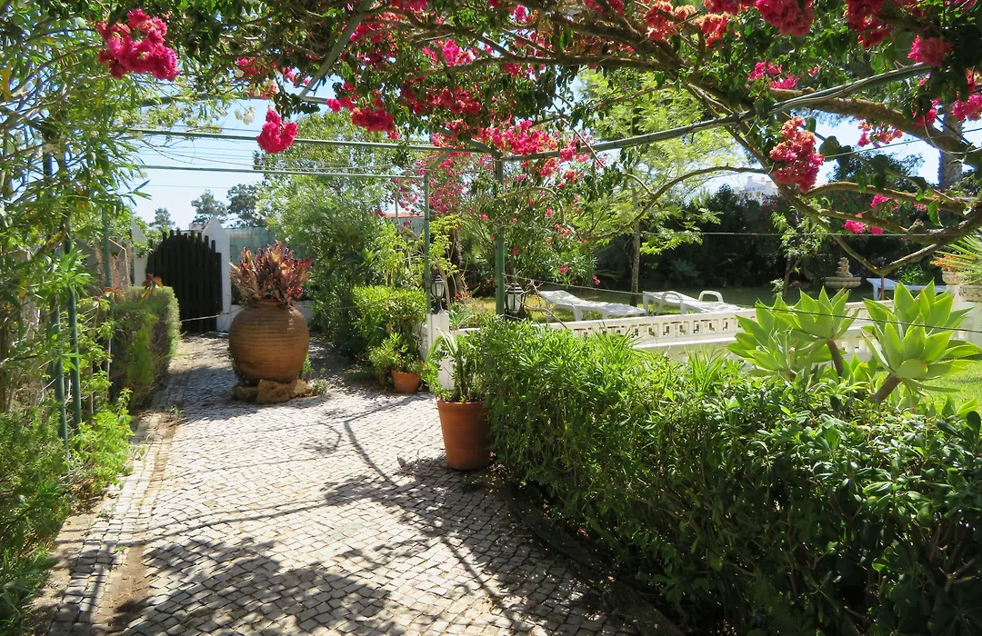 Hotel Alcaide-1