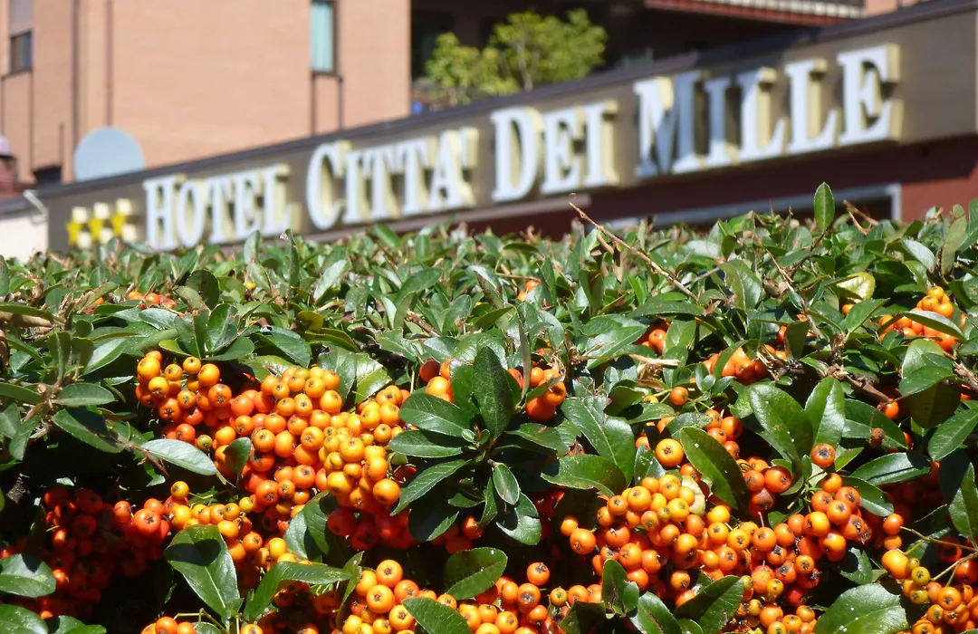 Hotel Citta Dei Mille-1