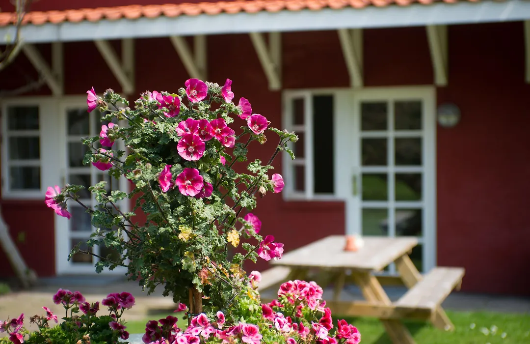 Hotel Allinge-1