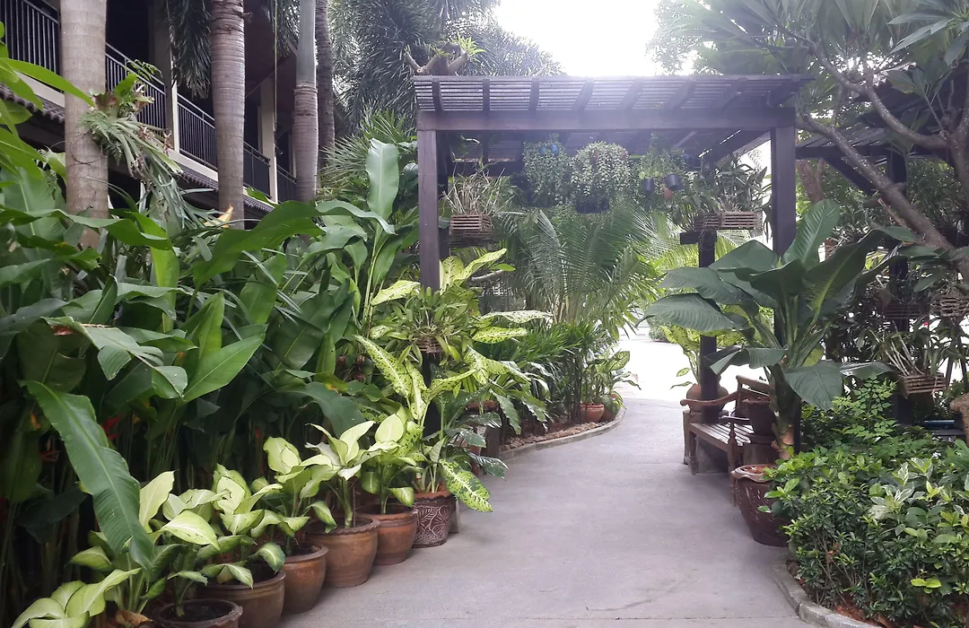 Am Samui Palace-1