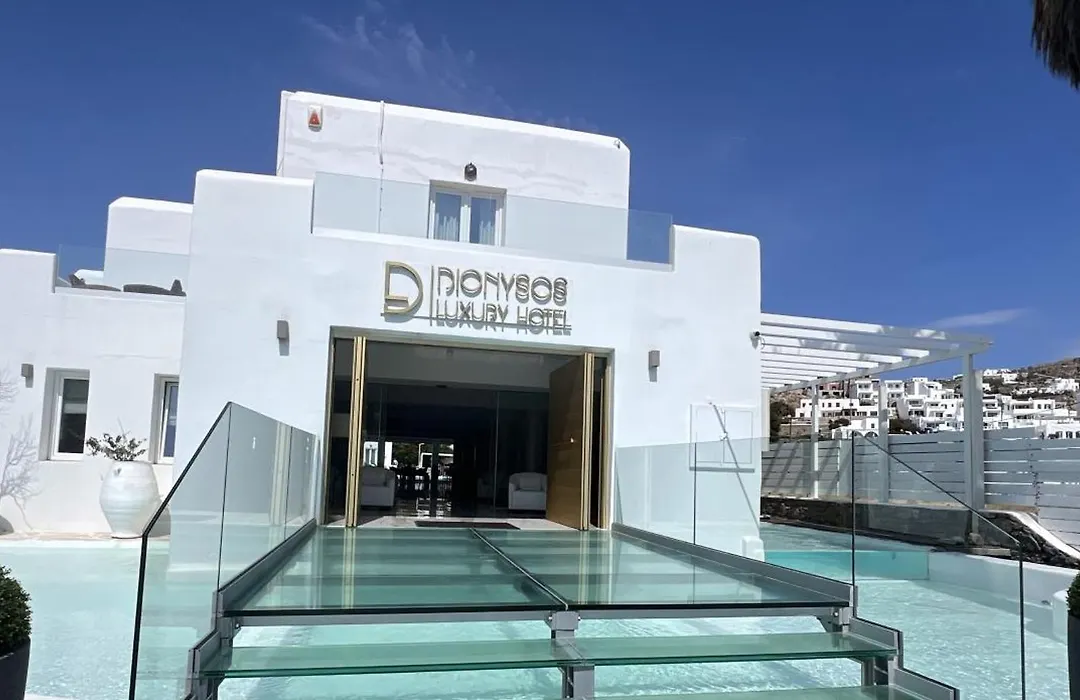 Dionysos Luxury Hotel Mykonos-1