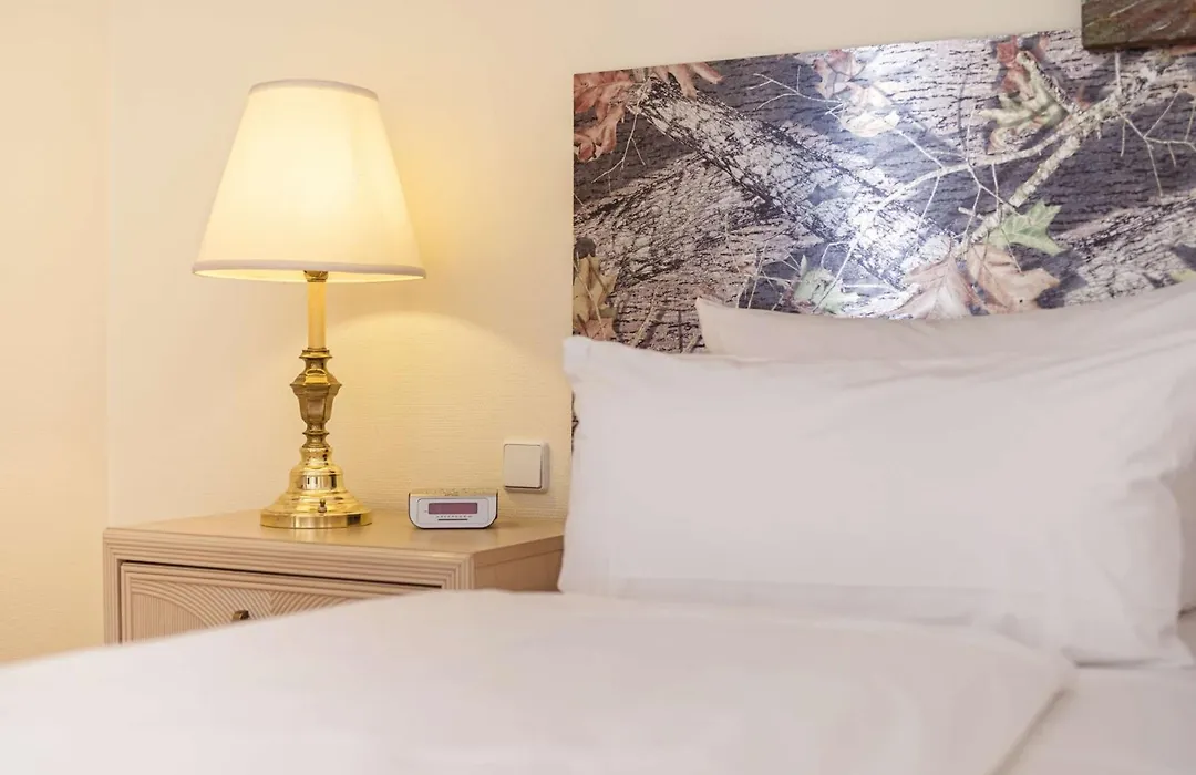 Hotel Am Schloss Koepenick By Golden Tulip-1