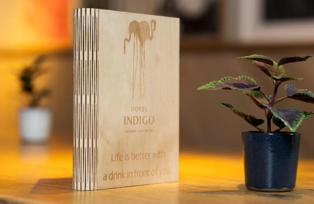Hotel Indigo Antwerp City Centre By Ihg-1