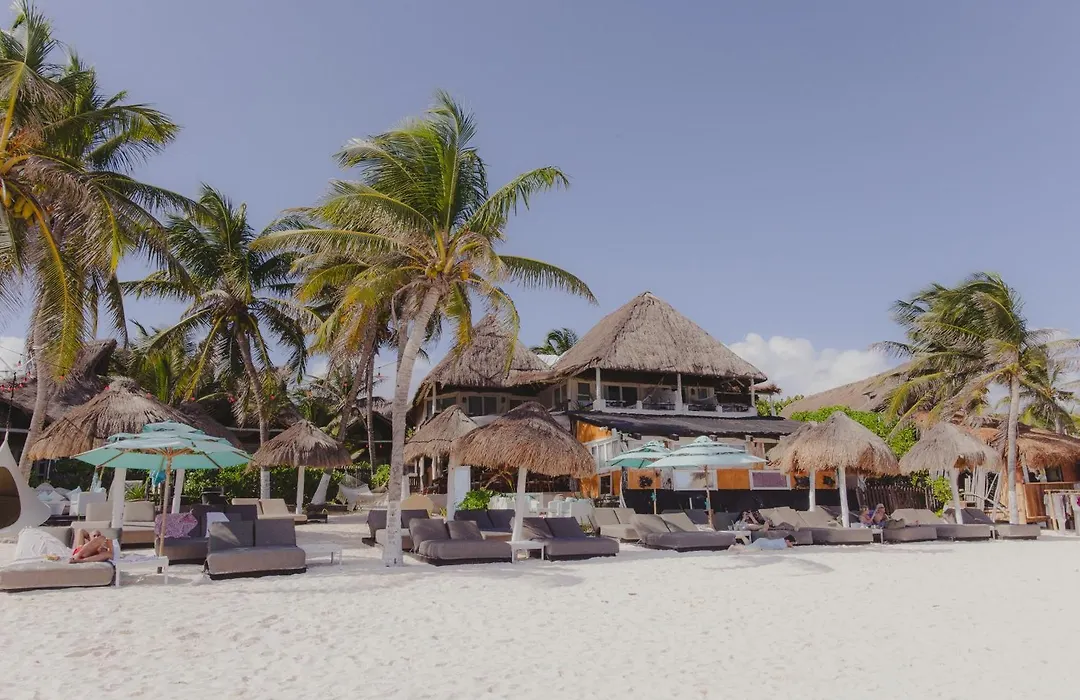 Villa Las Estrellas Tulum - Located At The Party Zone-1