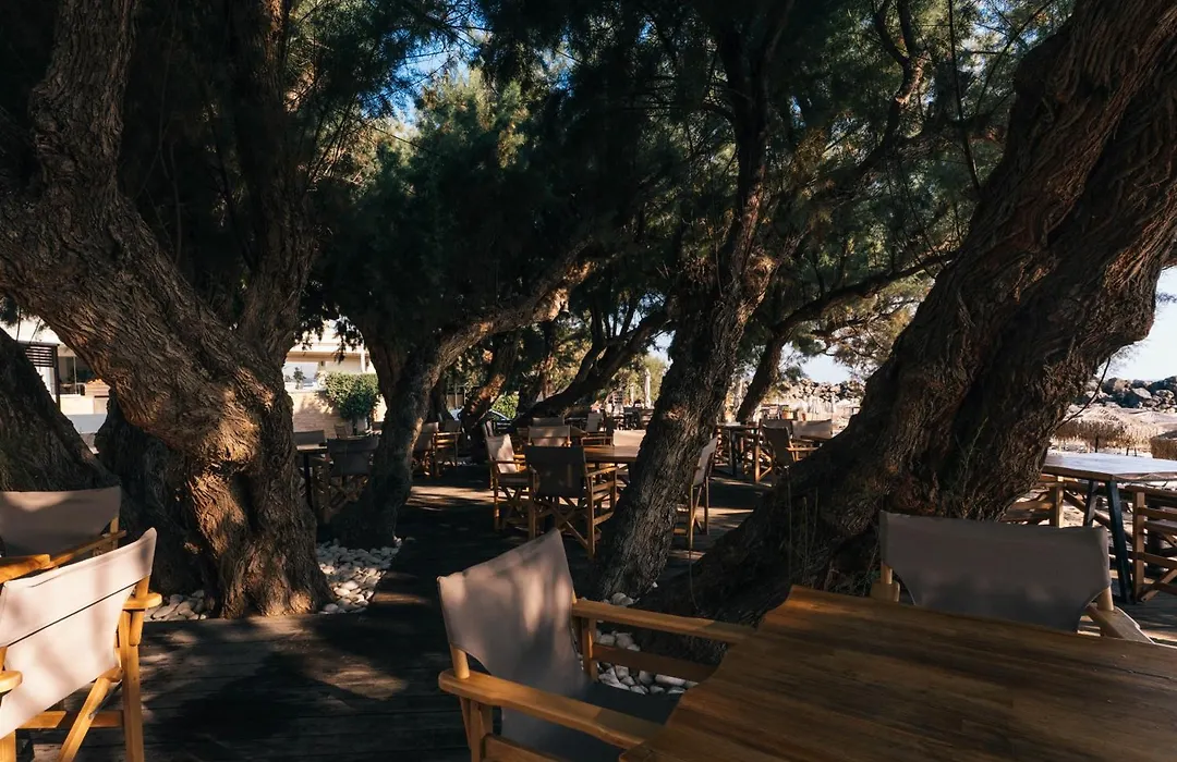 Aphrodite Beach-1