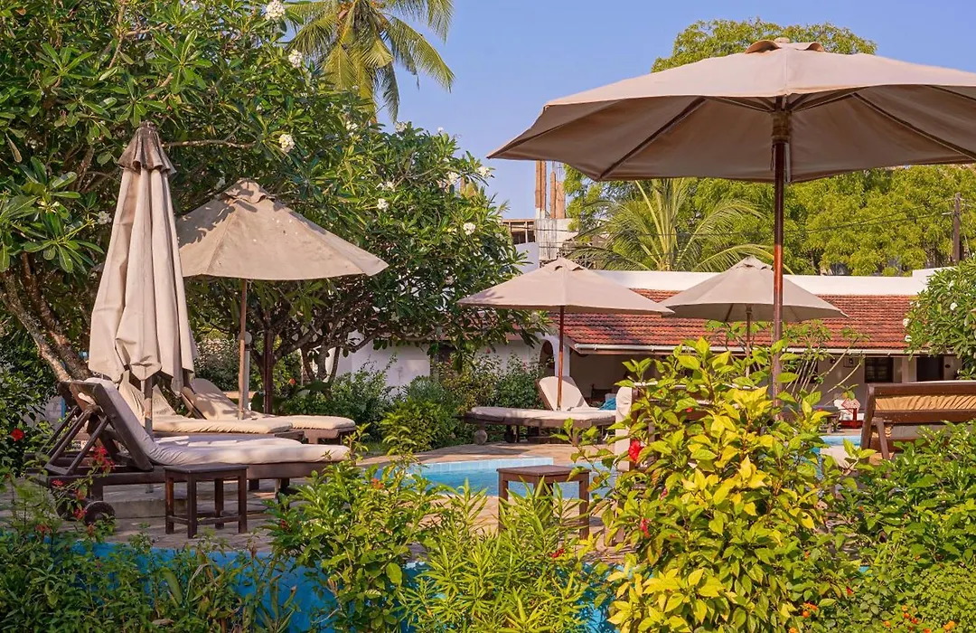 Flame Tree Cottages-1