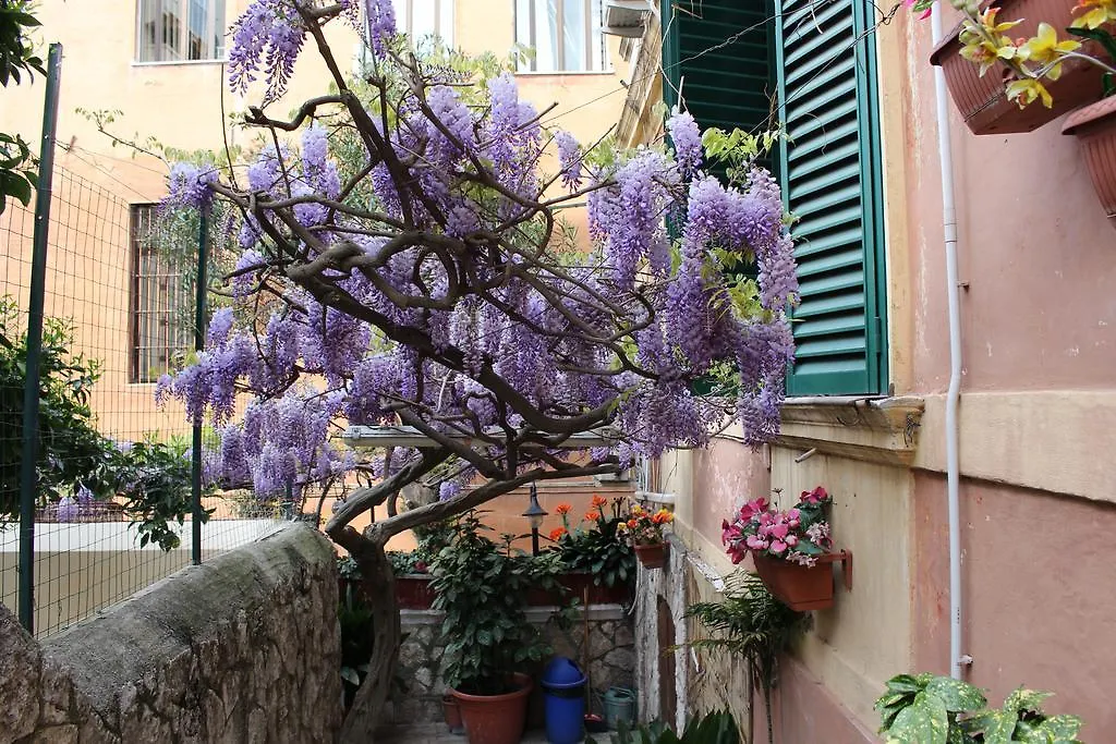 Hotel Pavia-1