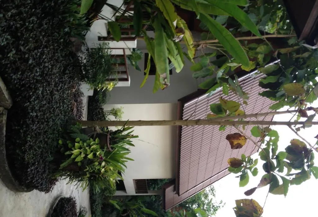 Tok'S Little Hut-1