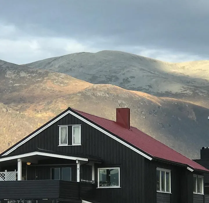 Villa Andalsnes-1