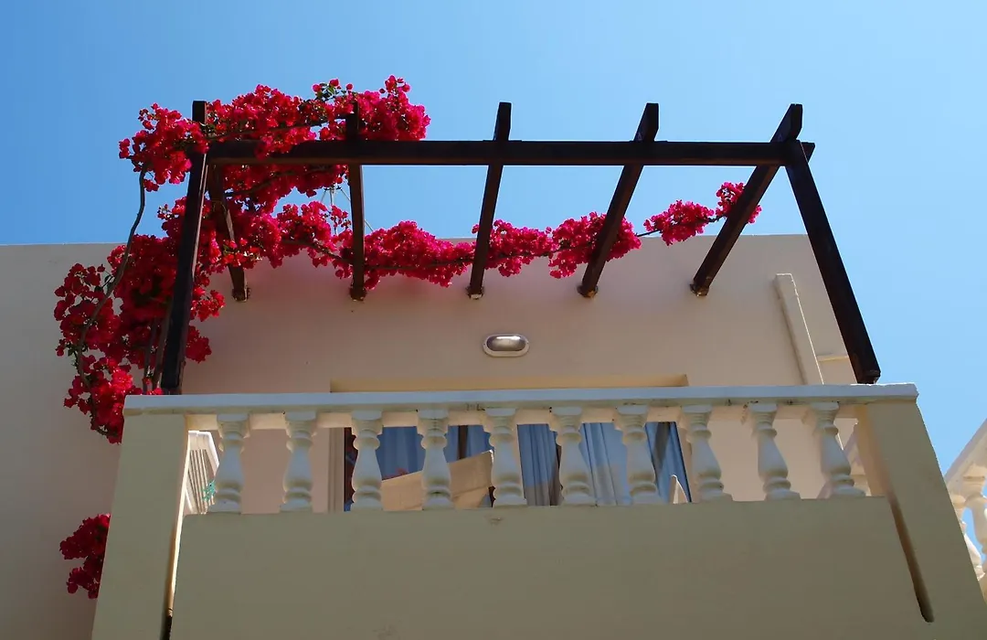 Elotis Suites (Adults Only)-1
