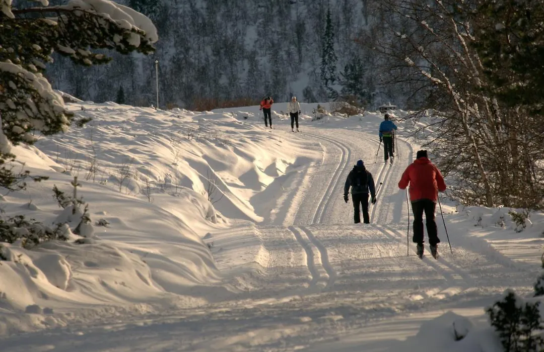 Rondane Hoyfjellshotell-1