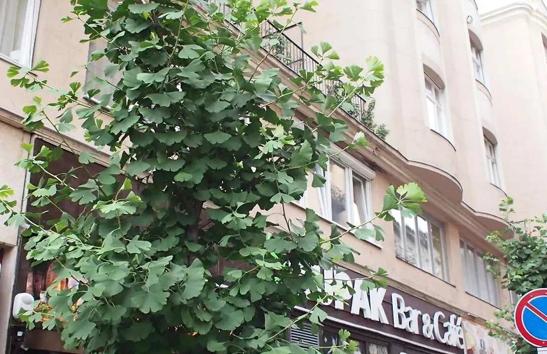Budapest Suites-1