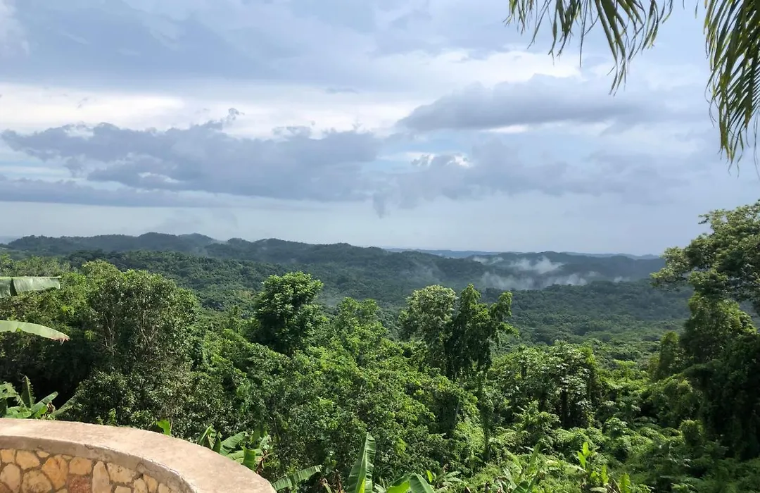 Coral Seas Beach-1