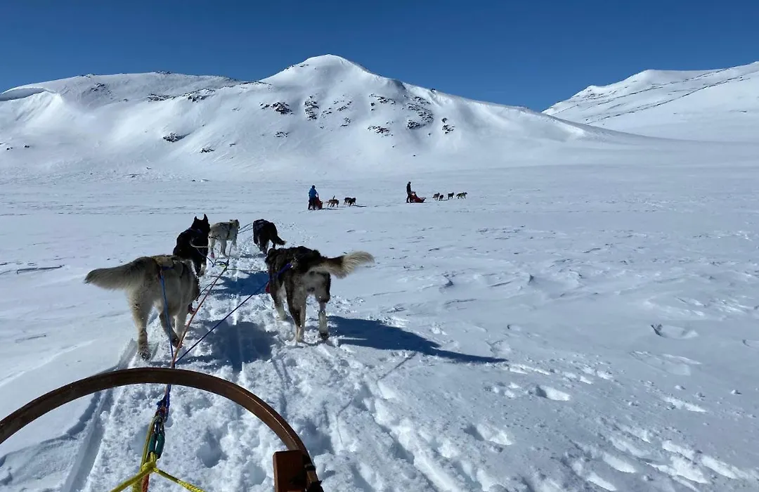 Jotunheimen Husky Lodge-1