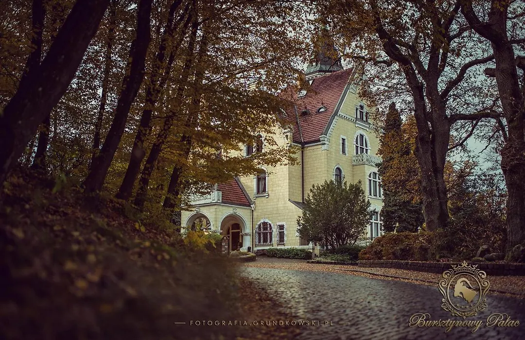 Hotel Bursztynowy Palac-1