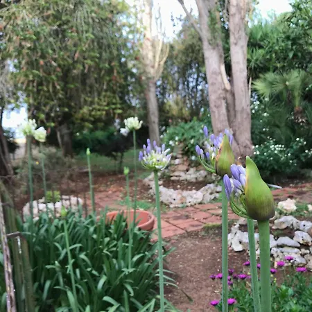 La Casa Di Sergio-3