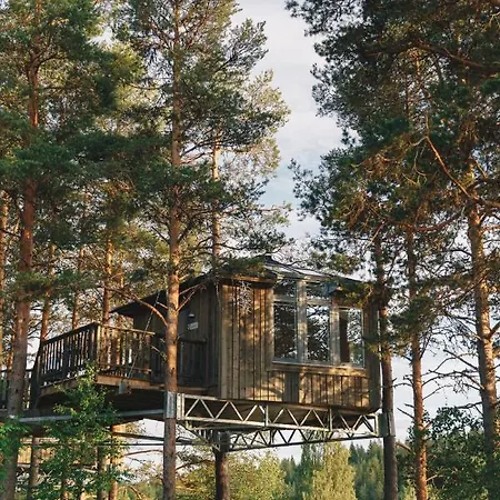 Granö Beckasin-3