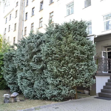 My Hotel Ok & Coliving-2
