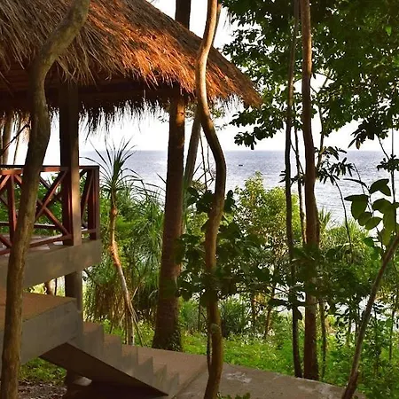The Narima - Sha Plus-3