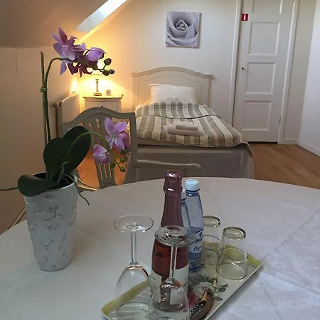 Herrgårds Hotell gyllene Hästen-3