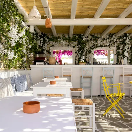 Alexandros Hotel Athens, Vassilicos House Of Hospitality-3