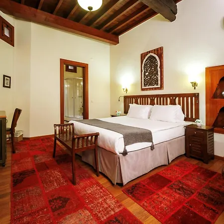 Hotel Villa Turka-3
