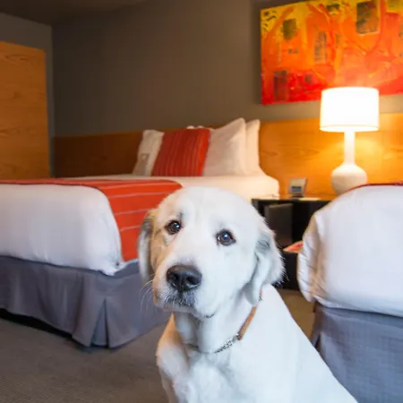 Hotel Max-3