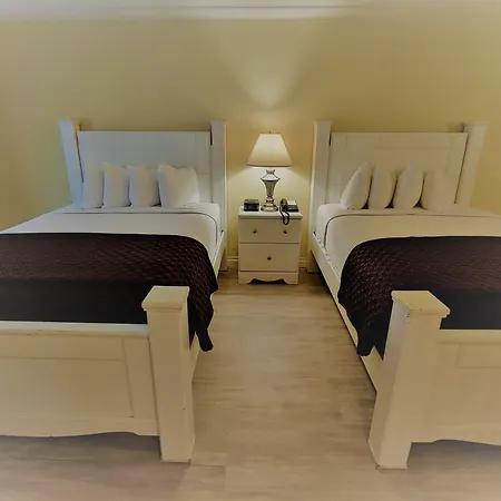 Hollywood Celebrity Hotel-3