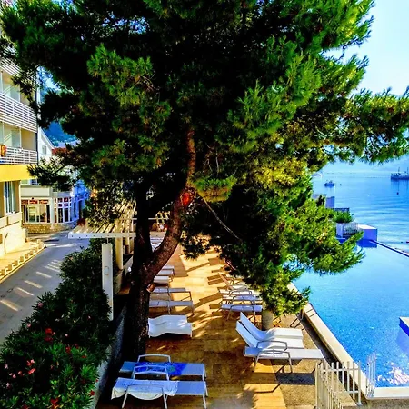 Carine Hotel Delfin-2