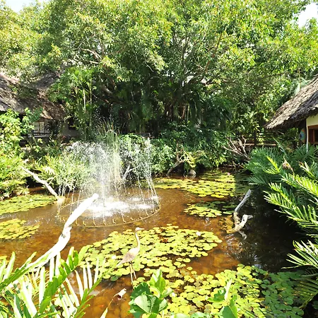 Leopard Beach Resort And Spa-2
