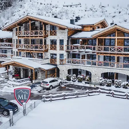 Avenida Mountain Lodges Saalbach Incl Joker Card-3