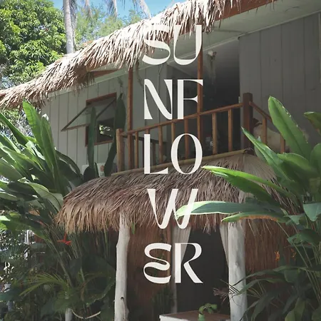 Sunflower Guesthouse And Animal Rescue - Koh Lipe-2