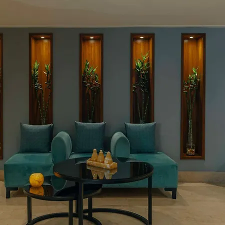 Radisson Blu Hotel, Cairo Heliopolis-3