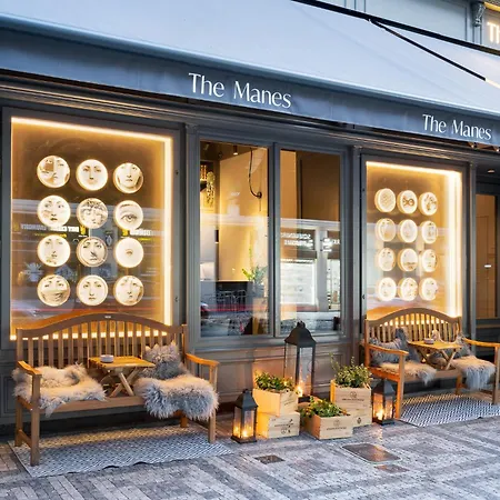 The Manes Boutique Hotel Prague-3
