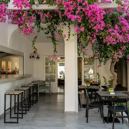 Hippocampus Hotel-2