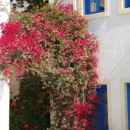 Creta Sun Hotel Studios-Adults Only-2