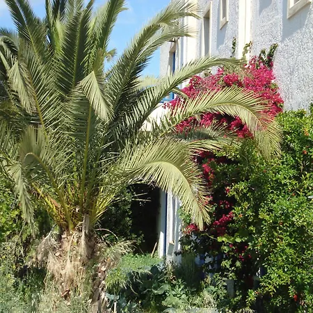 Creta Sun Hotel Studios-Adults Only-3